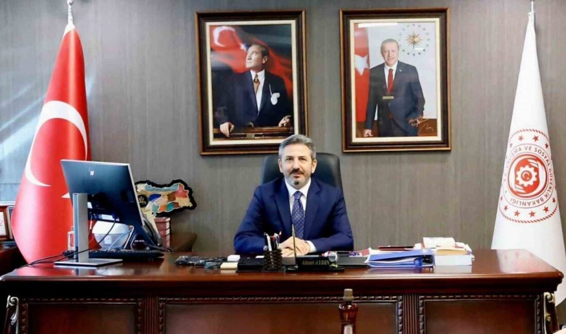 Çalışma ve Sosyal Güvenlik Bakan Yardımcısı Ahmet Aydın, Ankara’da gerçekleştirilecek