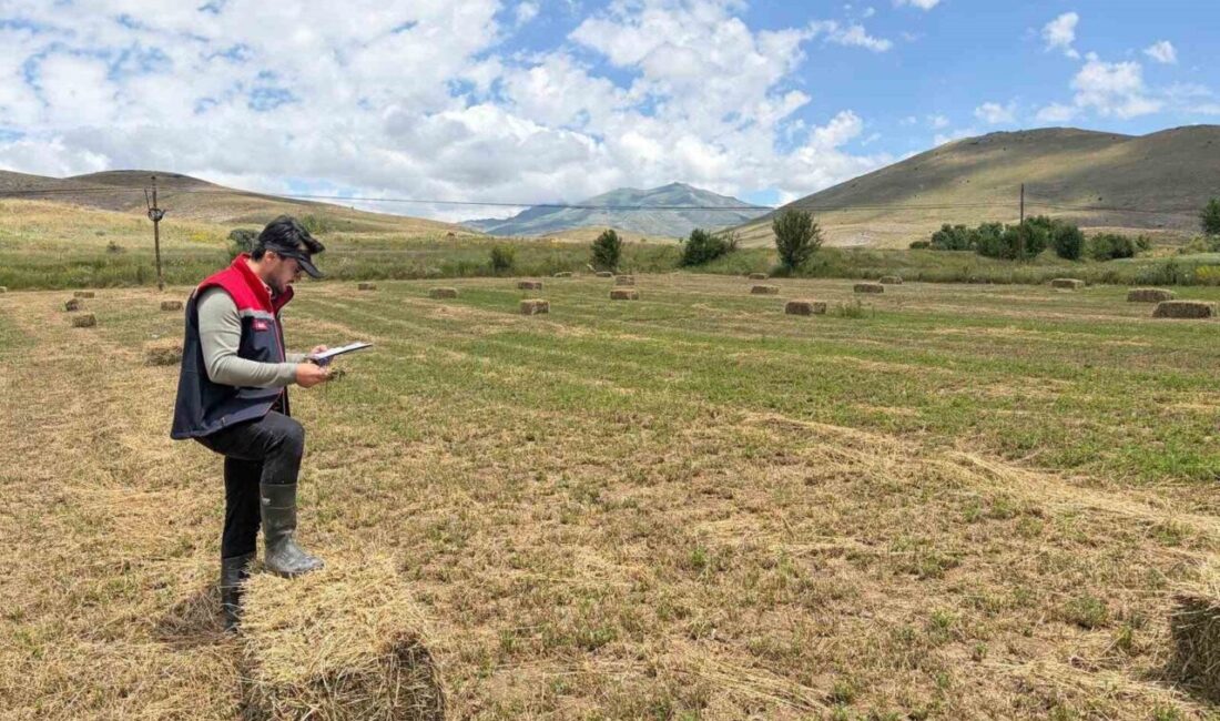 Bayburt İl Tarım ve Orman Müdürlüğü ekipleri, 2026 yılı planlı
