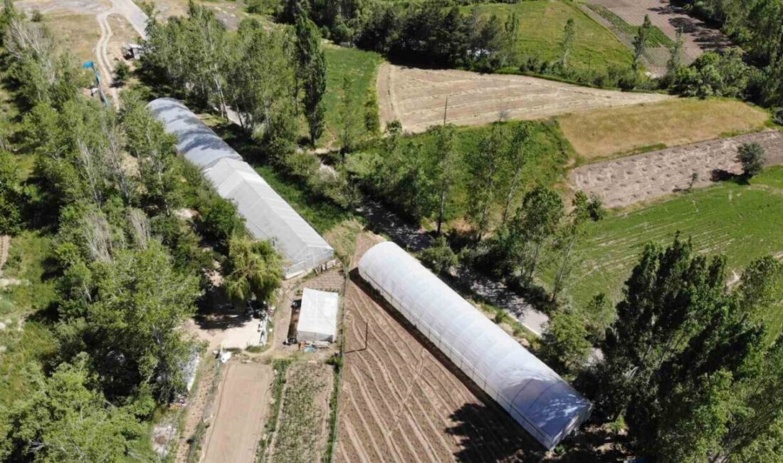 Bayburt İl Tarım ve Orman Müdürlüğü ile Doğu Karadeniz Projesi