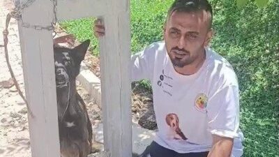 Hatay’da sahipli Belçika kurdu cinsi köpek, elektrik direğine asılarak telef