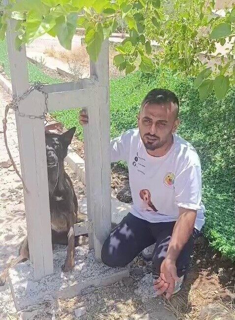 Hatay’da sahipli Belçika kurdu cinsi köpek, elektrik direğine asılarak telef