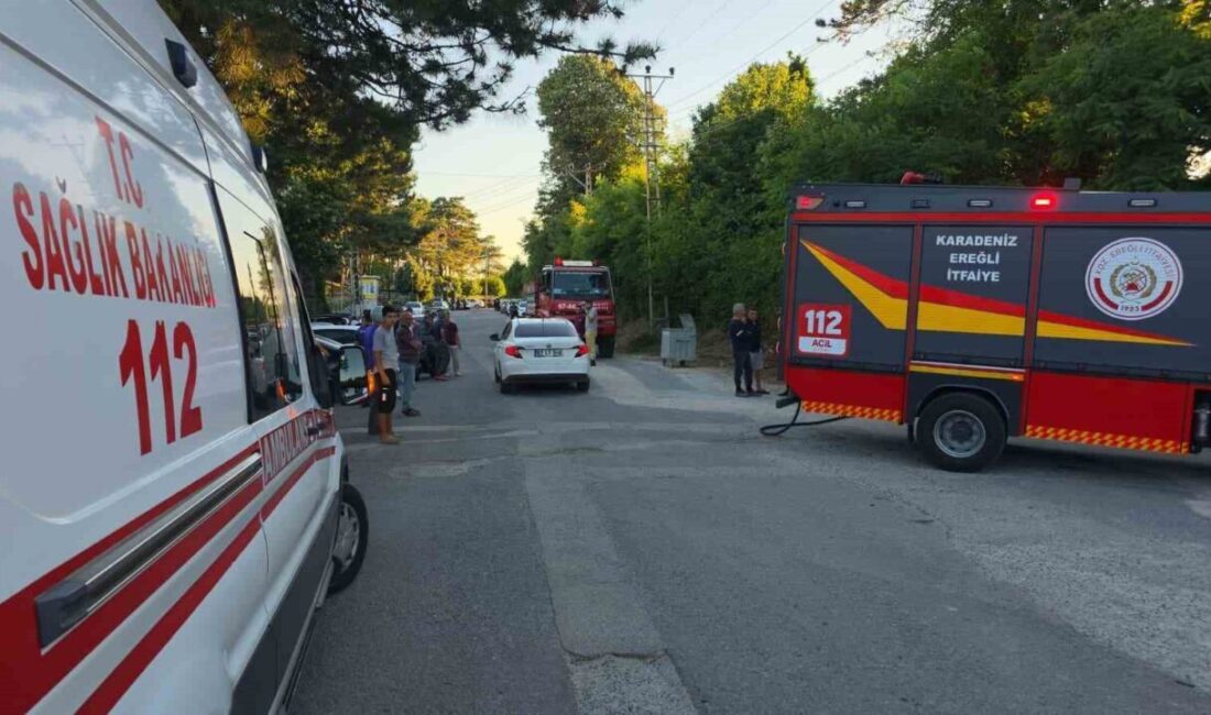 Zonguldak’ın Karadeniz Ereğli ilçesinde boş arazide çıkan yangın, ekiplerin hızlı