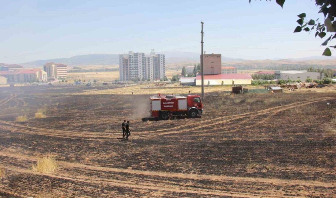 Sivas’ın Zara ilçesinde buğday ekili arazide çıkan yangın yaklaşık 80