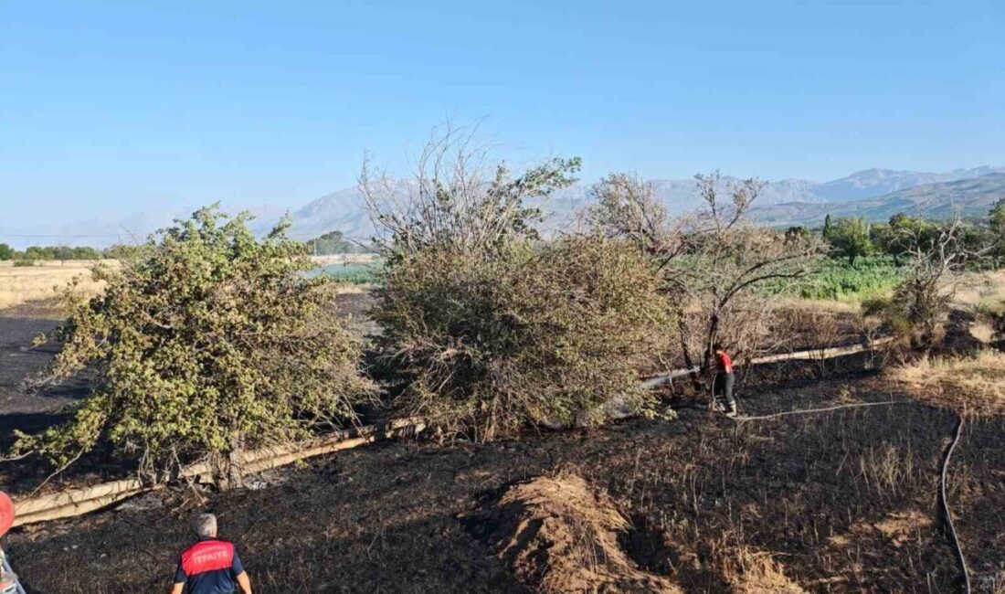 Erzincan’ın Elmaköy köyü girişinde çıkan tarla yangını, itfaiye ekiplerinin zamanında