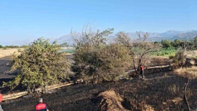Erzincan’ın Elmaköy köyü girişinde çıkan tarla yangını, itfaiye ekiplerinin zamanında