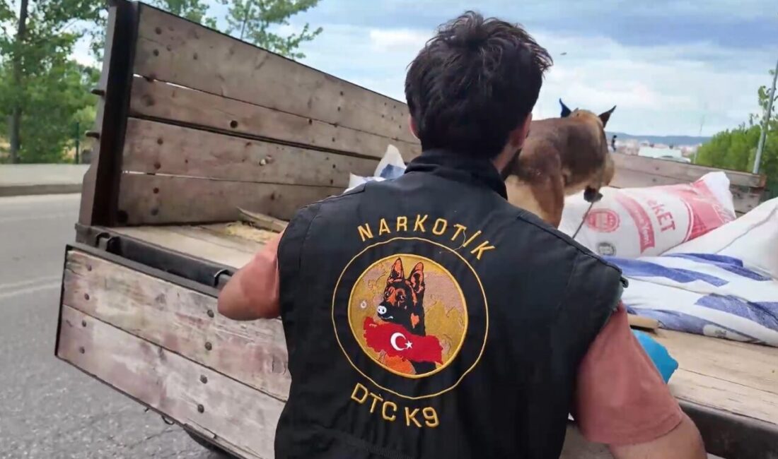 Kastamonu’nun Taşköprü ilçesinde polis ekipleri tarafından gerçekleştirilen denetimde 414 şahsın