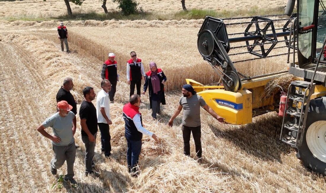 Erzincan’da buğday hasadı devam ederken, üreticilerin bir yıllık emeğinin korunması