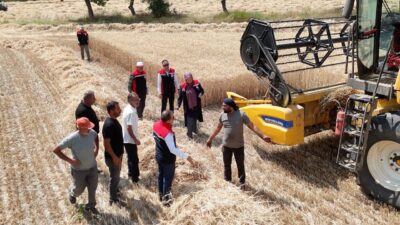 Erzincan’da buğday hasadı devam ederken, üreticilerin bir yıllık emeğinin korunması