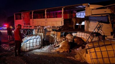 Erzincan-Sivas karayolunun Koçyatağı mevkiinde iki tırın çarpışması sonucu meydana gelen