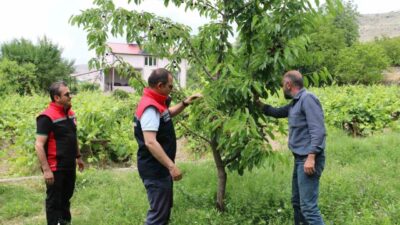 Erzincan İl Tarım ve Orman Müdürü Alper Koçaker, Üzümlü ilçesindeki