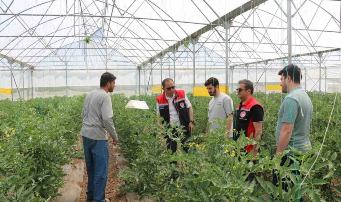 Erzincan İl Tarım ve Orman Müdürü Alper Koçaker, kent merkezine