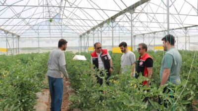 Erzincan İl Tarım ve Orman Müdürü Alper Koçaker, kent merkezine