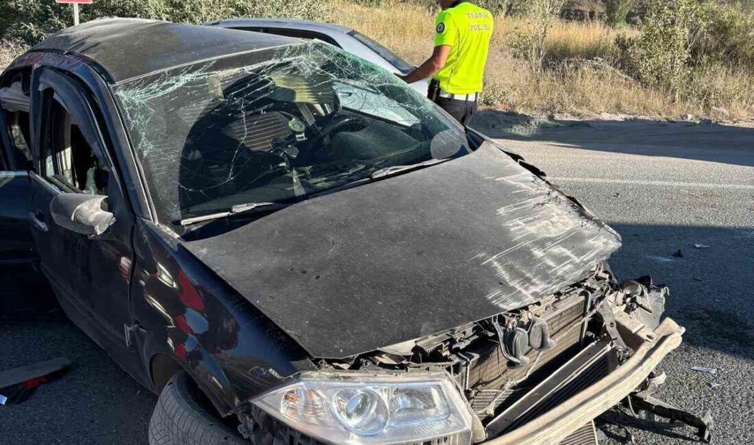 Erzincan-Sivas karayolu Sakaltutan mevkisinde meydana gelen tek taraflı trafik kazasında