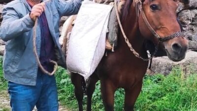 Erzurum’un İspir ilçesinde psikolojik tedavi gördüğü öğrenilen 55 yaşındaki şahıs,