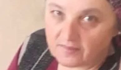 Zonguldak’ın Karadeniz Ereğli ilçesinde fındık bahçesinde çalıştığı sırada eşek arısının