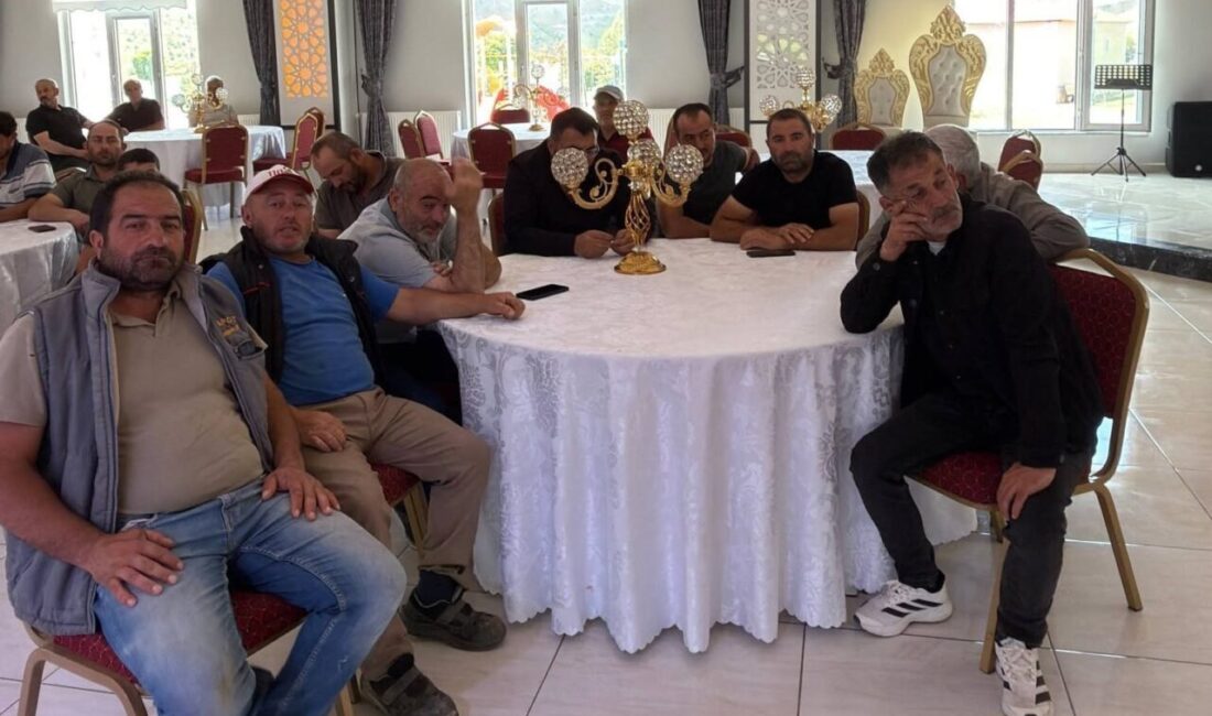 Göçkedere Belediyesi ile Doğu Karadeniz Projesi (DOKAP) Bölge Kalkınma İdaresi
