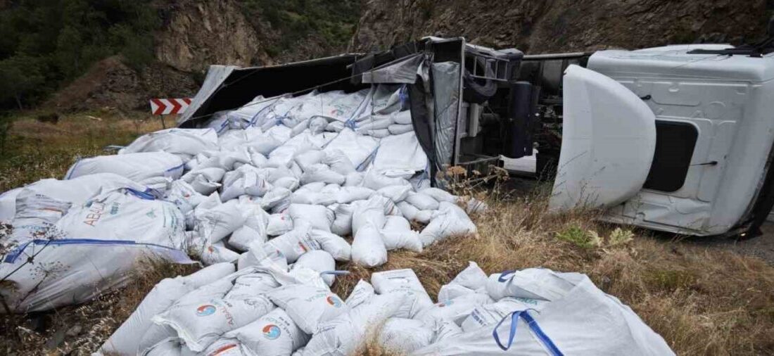 Gümüşhane’nin Kürtün ilçesinde balık yemi yüklü tırın devrilmesi sonucu meydana