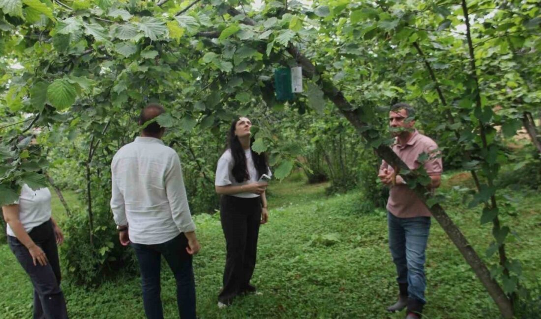 İklim değişikliği ile tarımda giderek artan istilacı türlerin üretim üzerindeki