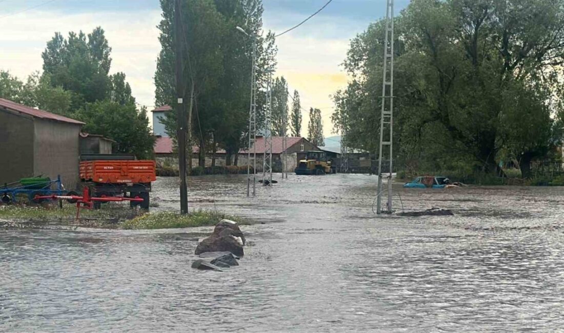 Kars’ın Arpaçay ilçesinde sağanak yağış Tepeçik köyünde sele neden olurken,