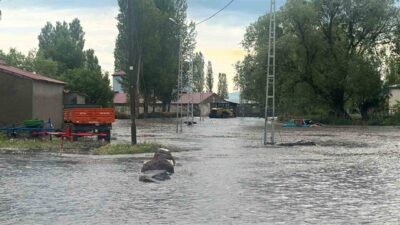 Kars’ın Arpaçay ilçesinde sağanak yağış Tepeçik köyünde sele neden olurken,