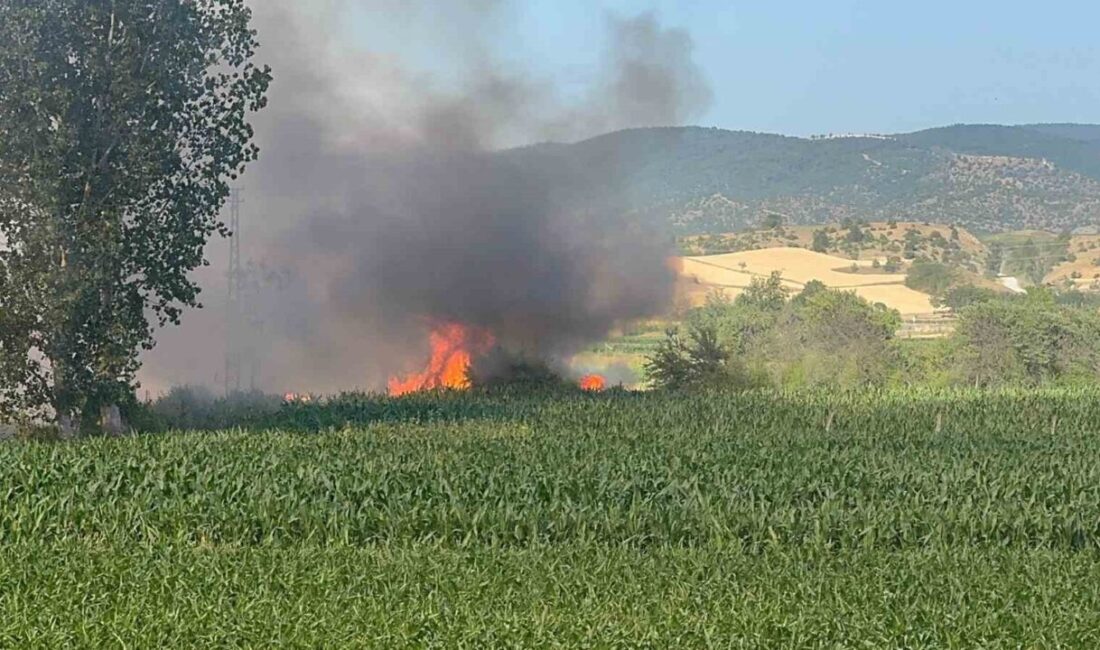 Kastamonu’nun Taşköprü ilçesinde buğday ekili tarlada çıkan yangında, çiftçinin bir