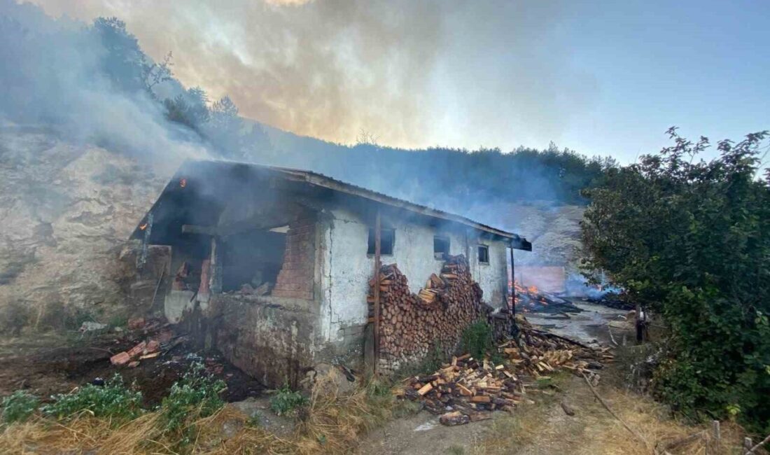 Kastamonu’da ahşap evde çıkan yangın ormanlık alana sıçradı. Alevlere havadan