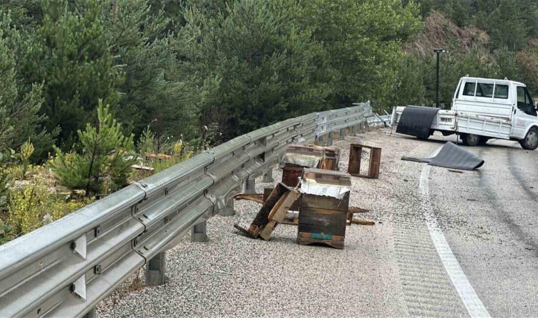 Kastamonu’nun Devrekani ilçesinde bariyerlere çarpan kamyonetteki 2 kişi yaralanırken, etrafa