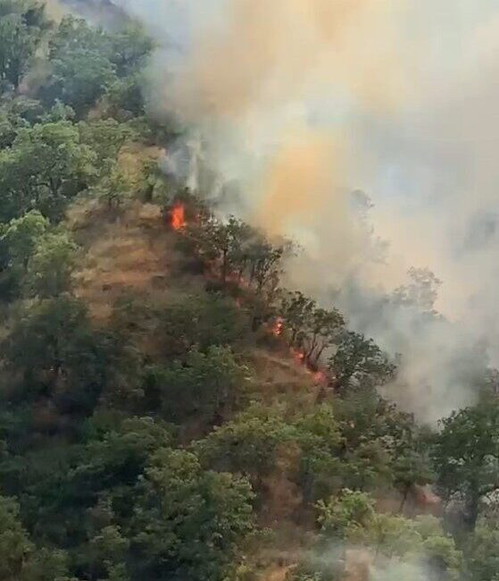 Kastamonu’nun Tosya ilçesinde çıkan orman yangını, orman ve itfaiye ekipleri