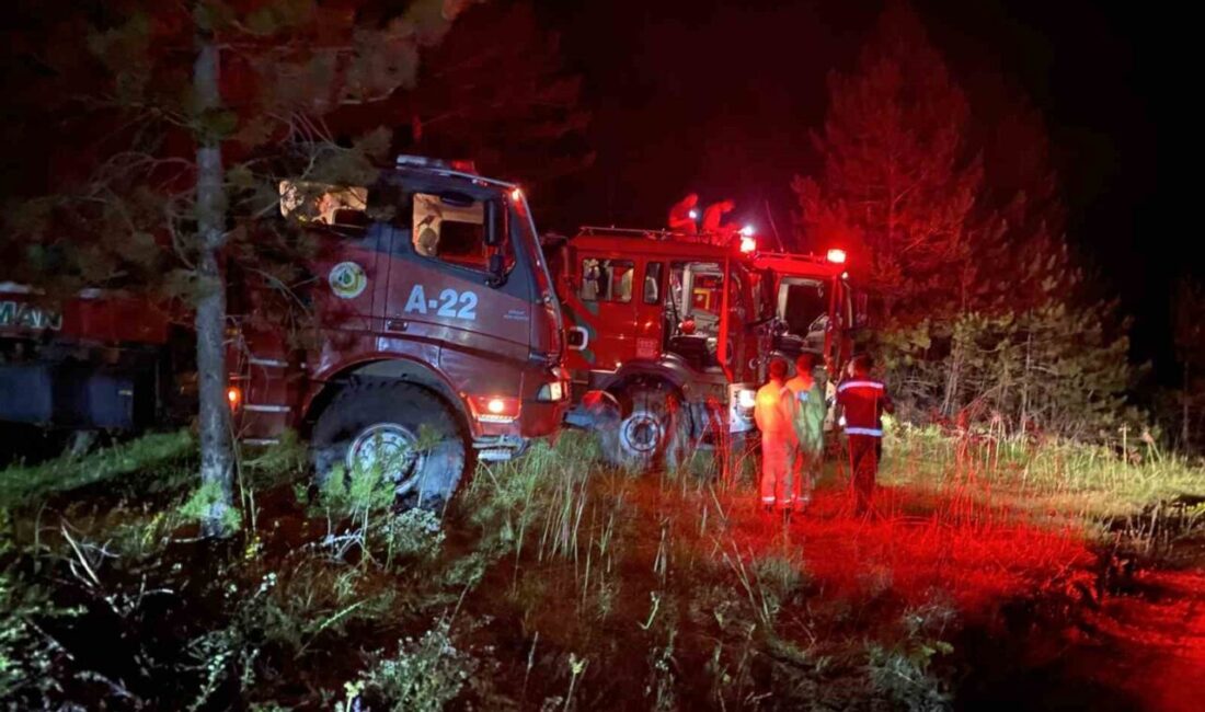 Kastamonu’da yanan evdeki alevlerin sıçraması neticesinde çıkan orman yangını 4.5