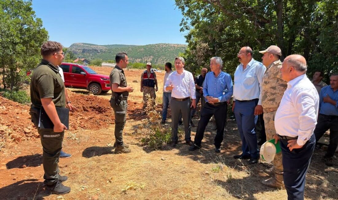 Erzincan’ın Kemaliye ilçesine bağlı Efeler köyünde çıkan arazi yangını, ilgili