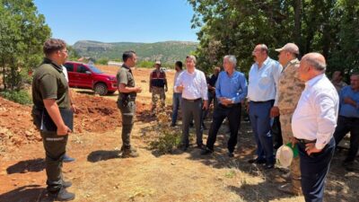 Erzincan’ın Kemaliye ilçesine bağlı Efeler köyünde çıkan arazi yangını, ilgili