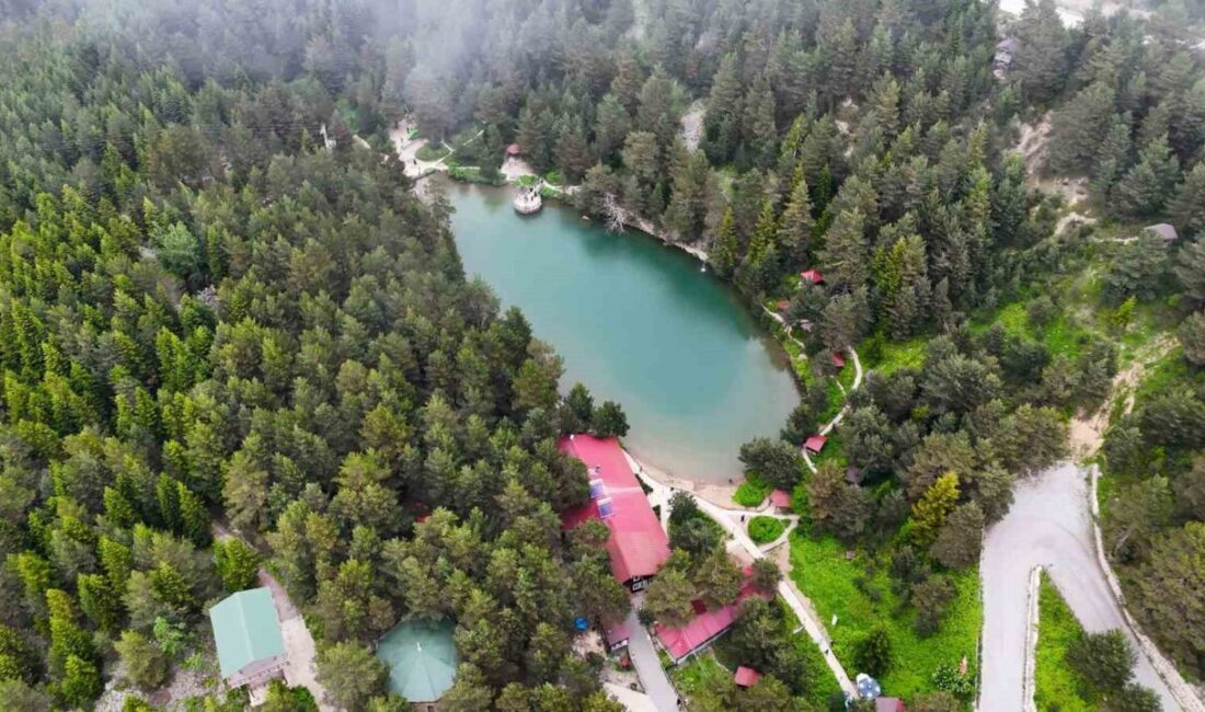 Gümüşhane’nin Torul ilçesindeki Limni Gölü Tabiat Parkı, kavurucu sıcaklardan uzaklaşmak