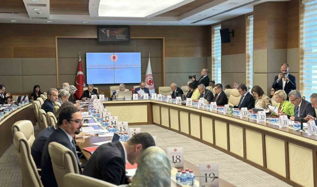 Öğrenci affına ve yükseköğretime ilişkin düzenlemeleri içeren Yükseköğretim Kanunu ve