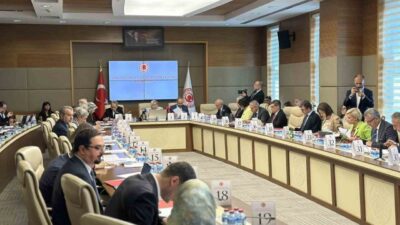 Öğrenci affına ve yükseköğretime ilişkin düzenlemeleri içeren Yükseköğretim Kanunu ve