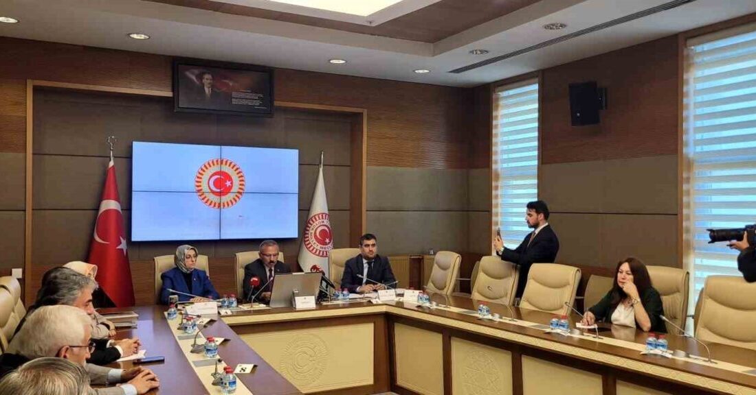 Şanlıurfa ve Kahramanmaraş Okul Olaylarını ve Dijital Riskleri Araştırma Komisyonu