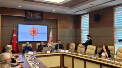 Şanlıurfa ve Kahramanmaraş Okul Olaylarını ve Dijital Riskleri Araştırma Komisyonu