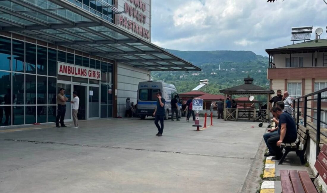 Ordu’nun Kumru ilçesinde fındık bahçesinde çarklı tırpanla ot biçildiği sırada