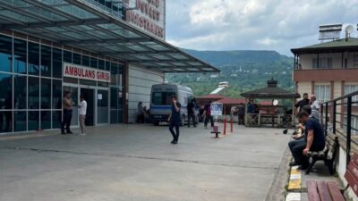 Ordu’nun Kumru ilçesinde fındık bahçesinde çarklı tırpanla ot biçildiği sırada