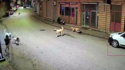 Ordu’nun Çamaş ilçesinde scooter ile evine gitmeye çalışan bir çocuk,