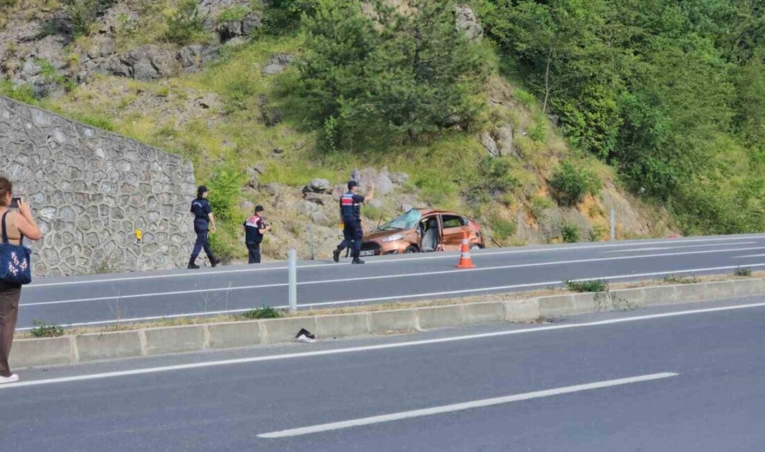 Zonguldak’ta otomobil ile tırın çarpıştığı kazada yaşlı çift hayatını kaybetti.