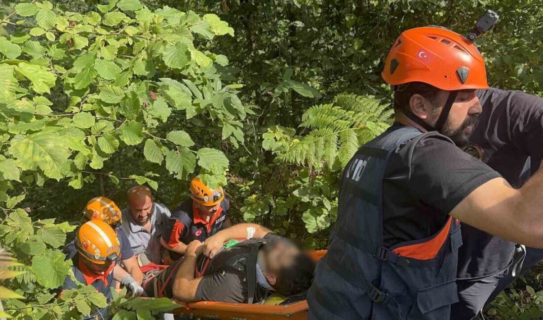 Rize’de yol çalışması yaparken kontrolden çıkarak 250 metrelik uçuruma yuvarlanan