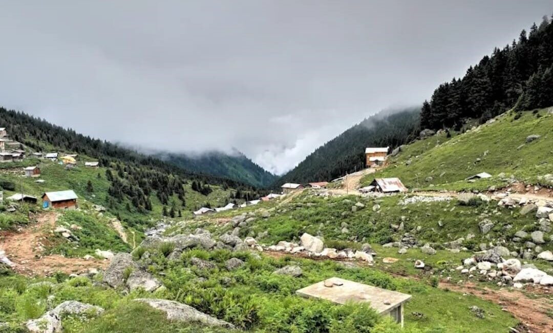 Rize’nin Çamlıhemşin ilçesine bağlı Çat Vadisi’ndeki Hamlakit Yaylası’nda kaybolduğu bildirilen