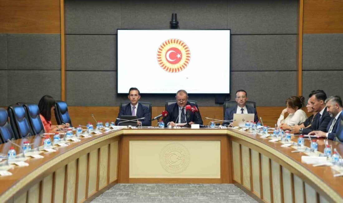 Radyo ve Televizyon Üst Kurulu (RTÜK) Başkanı Mehmet Daniş, TBMM