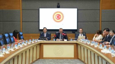 Radyo ve Televizyon Üst Kurulu (RTÜK) Başkanı Mehmet Daniş, TBMM