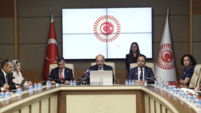 TBMM Sağlık, Aile, Çalışma ve Sosyal İşler Komisyonu, Gazze’deki katliam