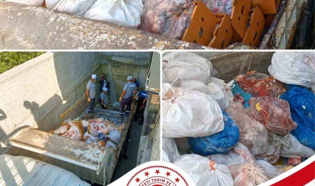 Sakarya’nın Hendek ilçesinde faaliyet gösteren bir sucuk işletmesinde gerçekleştirilen ruhsat