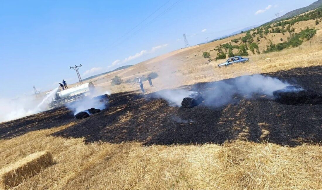 Sinop’un Saraydüzü ilçesinde tarla hasadı sırasında saman balyalama makinesinde çıkan