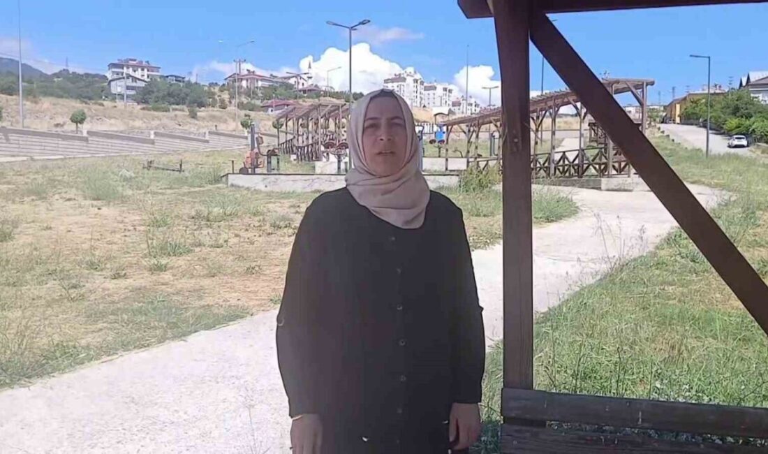 Sivas’ın Koyulhisar ilçesinde meydana gelen trafik kazasının ardından şok geçirerek