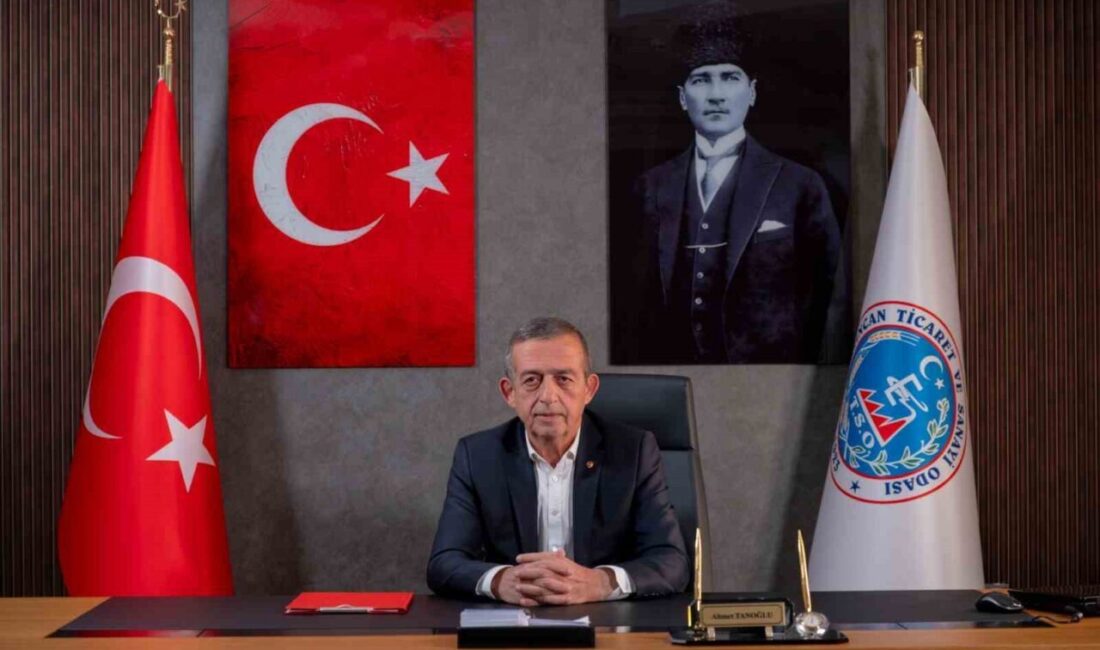 Erzincan Ticaret ve Sanayi Odası Yönetim Kurulu Başkanı Ahmet Tanoğlu,