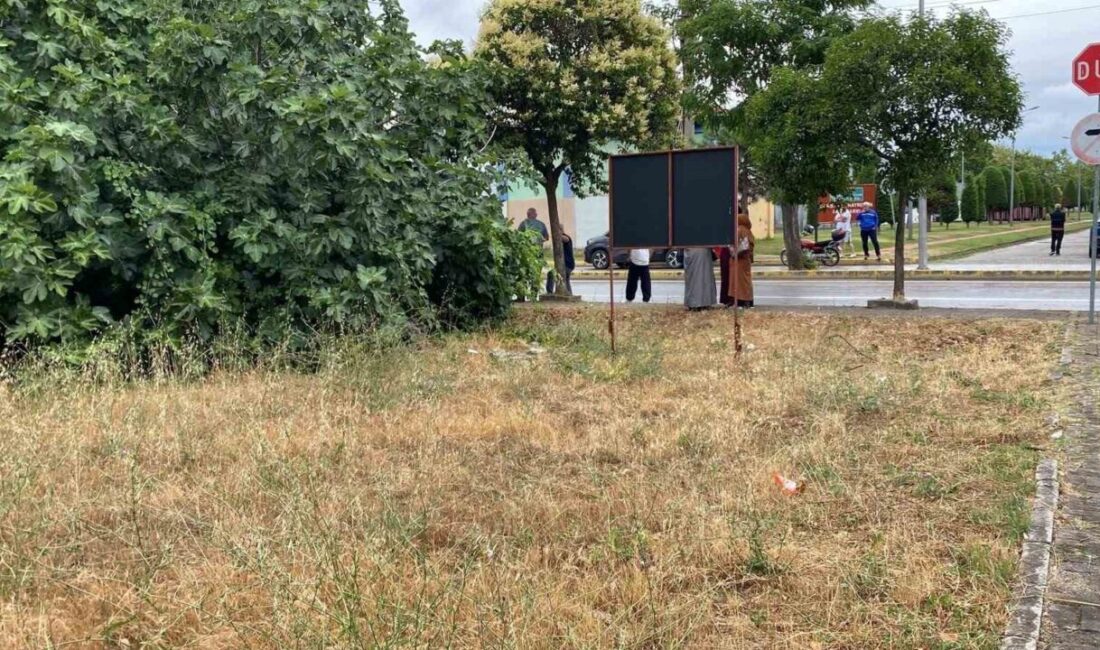 Kocaeli’nin Gölcük ilçesinde tartıştığı amcasını palayla öldüren zanlı, polis ekiplerince
